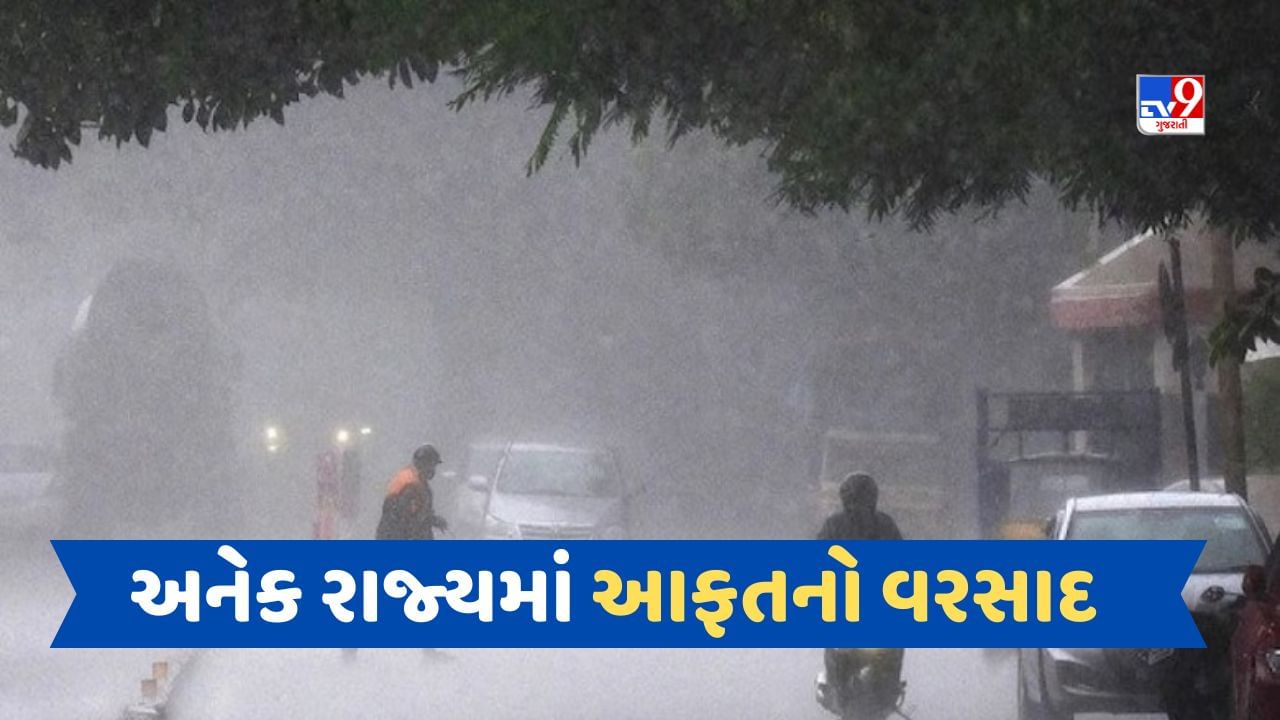 Rain Breaking: યુપીમાં વરસાદની આફત! રાજસ્થાન-ગુજરાતના આ જિલ્લામાં રેડ એલર્ટ, જાણો તમારા શહેરનું હવામાન અપડેટ