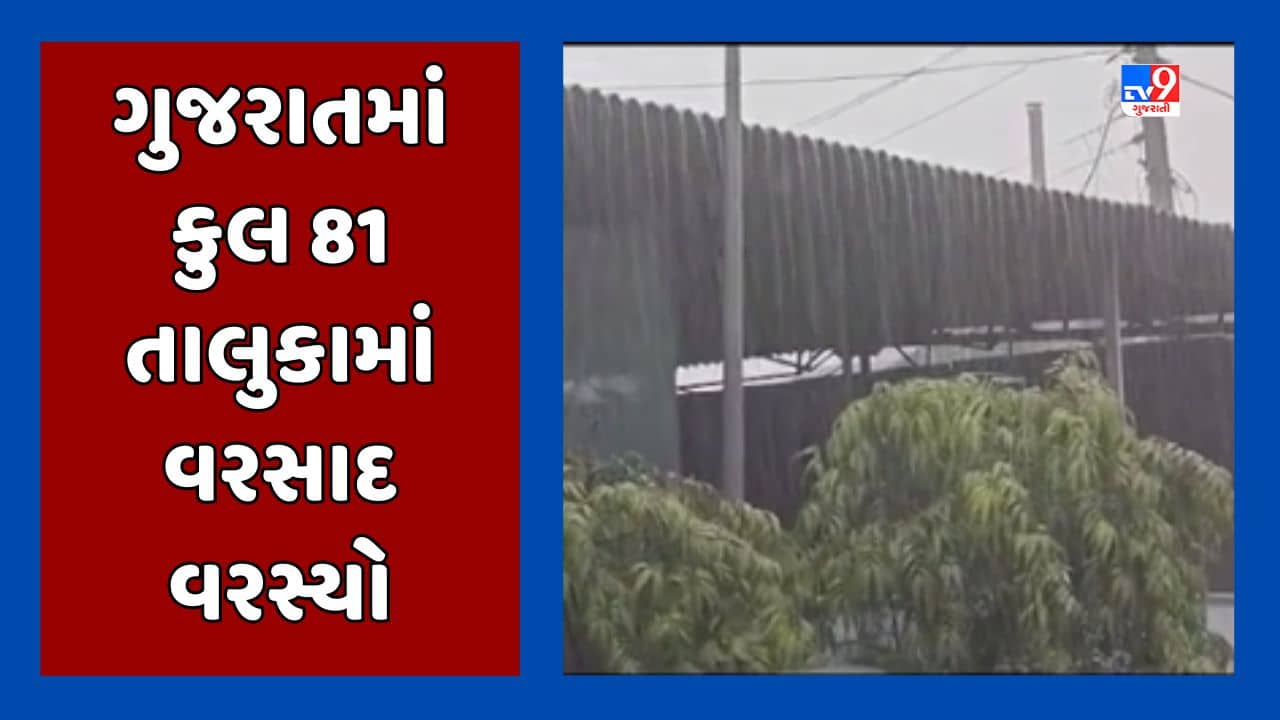 Rain Update : ગુજરાતમાં 20 તાલુકામાં 1 ઈંચથી વધુ વરસાદ નોંધાયો, નર્મદાના નાંદોદમાં સૌથી વધુ સવા 5 ઈંચ વરસાદ વરસ્યો, જુઓ Video