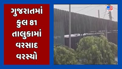 Rain Update : ગુજરાતમાં 20 તાલુકામાં 1 ઈંચથી વધુ વરસાદ નોંધાયો, નર્મદાના નાંદોદમાં સૌથી વધુ સવા 5 ઈંચ વરસાદ વરસ્યો, જુઓ Video Rain Update : ગુજરાતમાં 20 તાલુકામાં 1 ઈંચથી વધુ વરસાદ નોંધાયો, નર્મદાના નાંદોદમાં સૌથી વધુ સવા 5 ઈંચ વરસાદ વરસ્યો, જુઓ Video