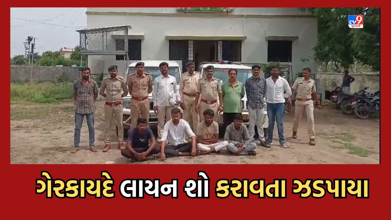 Gujarati Video: અમરેલીમાં ગેરકાયદે લાયન શો સમયે ત્રાટકી DCFની ટીમ, 4 આરોપીની ધરપકડ