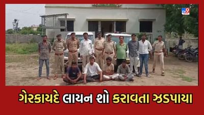 Gujarati Video: અમરેલીમાં ગેરકાયદે લાયન શો સમયે ત્રાટકી DCFની ટીમ, 4 આરોપીની ધરપકડ Gujarati Video: અમરેલીમાં ગેરકાયદે લાયન શો સમયે ત્રાટકી DCFની ટીમ, 4 આરોપીની ધરપકડ