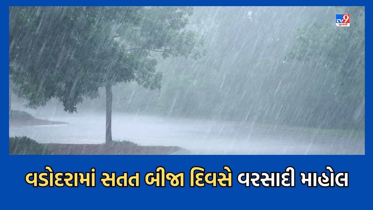 Vadodara: સતત બીજા દિવસે અનેક વિસ્તારોમાં વરસાદ, ખેડૂતોના પાકને જીવતદાન મળશે તેવી આશા- Video