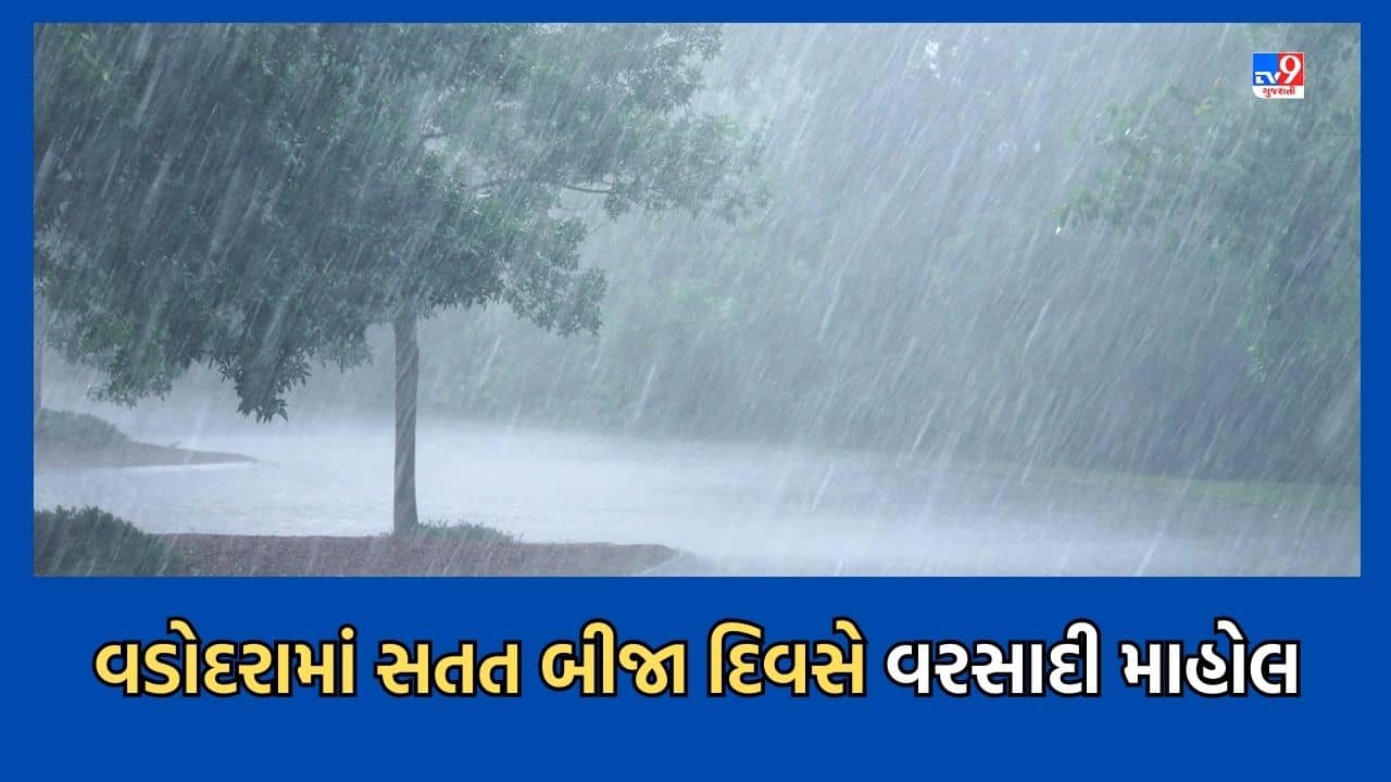Vadodara: સતત બીજા દિવસે અનેક વિસ્તારોમાં વરસાદ, ખેડૂતોના પાકને જીવતદાન મળશે તેવી આશા- Video
