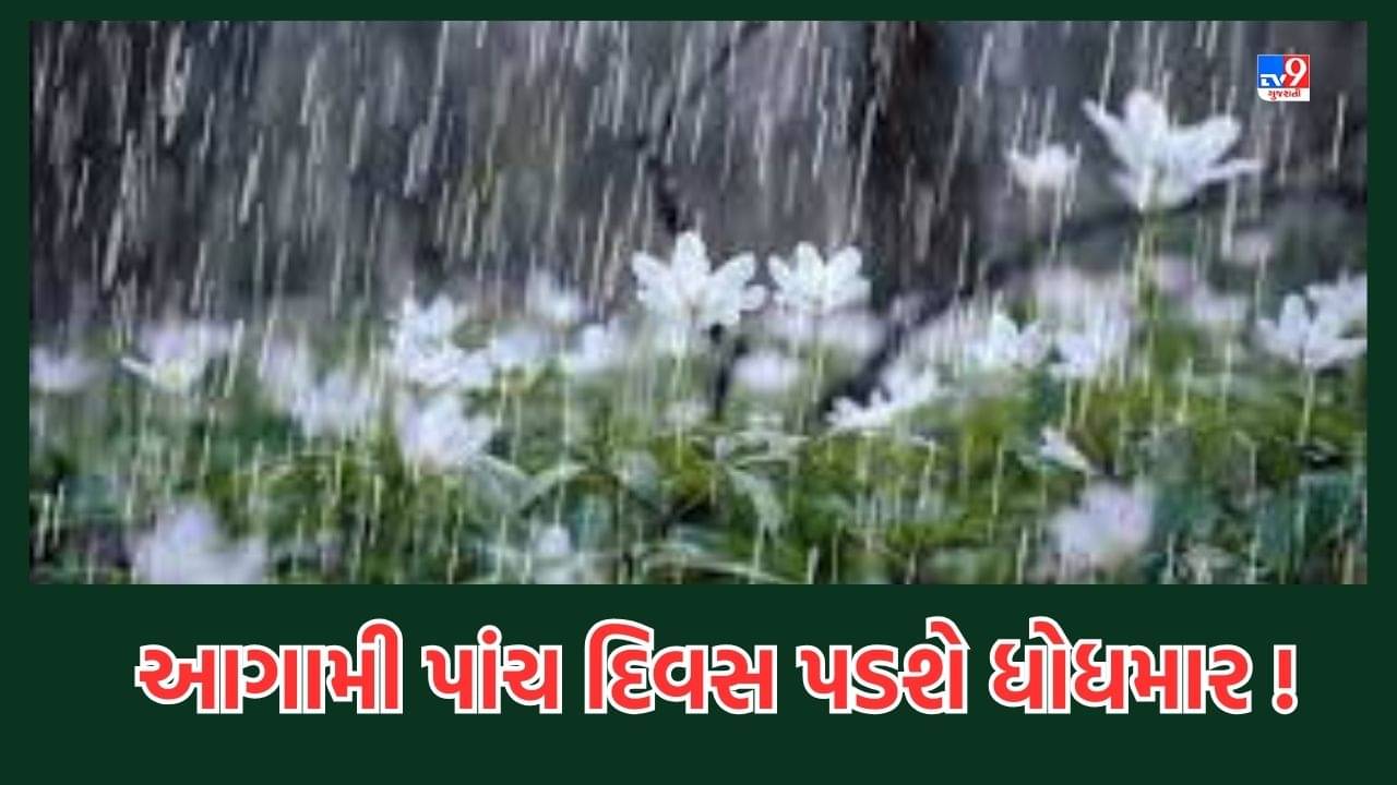 Rain Video: રાજ્યમાં આગામી 5 દિવસ વરસાદી માહોલ રહેશે, 16 થી 18 સપ્ટેમ્બરે સુધી ભારે વરસાદની આગાહી, અમદાવાદમાં પડશે મધ્યમ વરસાદ