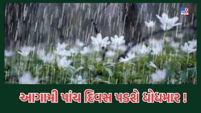 Rain Video: રાજ્યમાં આગામી 5 દિવસ વરસાદી માહોલ રહેશે, 16 થી 18 સપ્ટેમ્બરે સુધી ભારે વરસાદની આગાહી, અમદાવાદમાં પડશે મધ્યમ વરસાદ