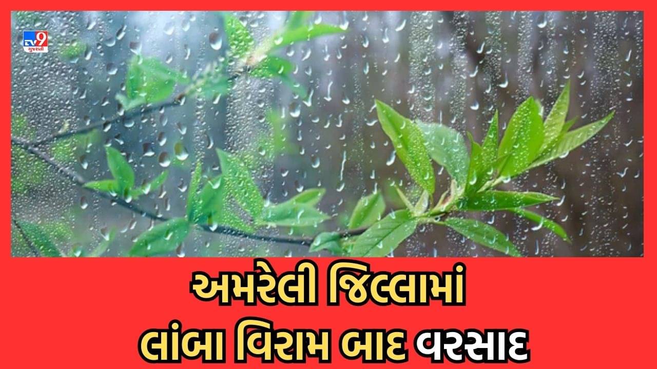Rain Video: અમરેલીમાં મેઘરાજા મહેરબાન, સાવરકુંડલા પંથકમાં ધોધમાર વરસાદ