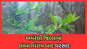 સાવરકુંડલા પંથકમાં લાંબા વિરામ બાદ વરસાદનું આગમન, ખેડૂતોમાં ખુશી સાવરકુંડલા પંથકમાં લાંબા વિરામ બાદ વરસાદનું આગમન, ખેડૂતોમાં ખુશી