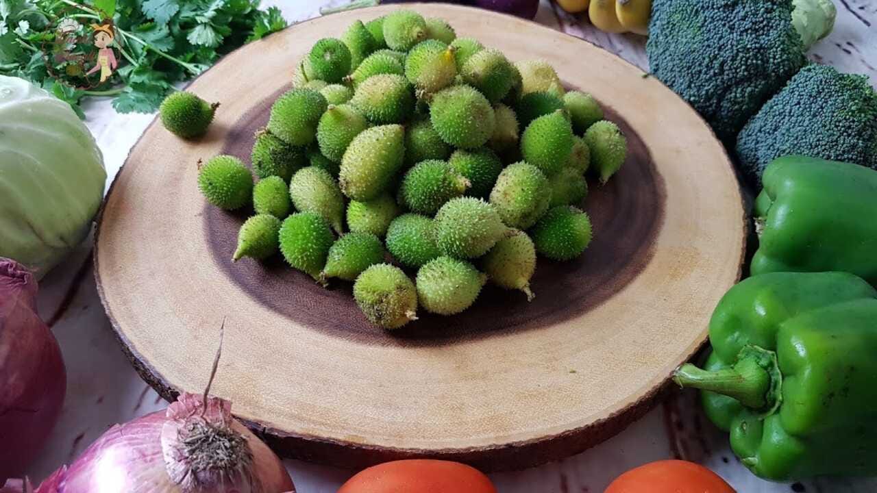 કંકોડામાં ફાઇબરનું પ્રમાણ લોહીમાં શુગરના સ્તરને કંટ્રોલ કરવામાં મદદ કરે છે અને તે ડાયાબિટીસના લોકો માટે ફાયદાકારક હોઈ શકે છે.