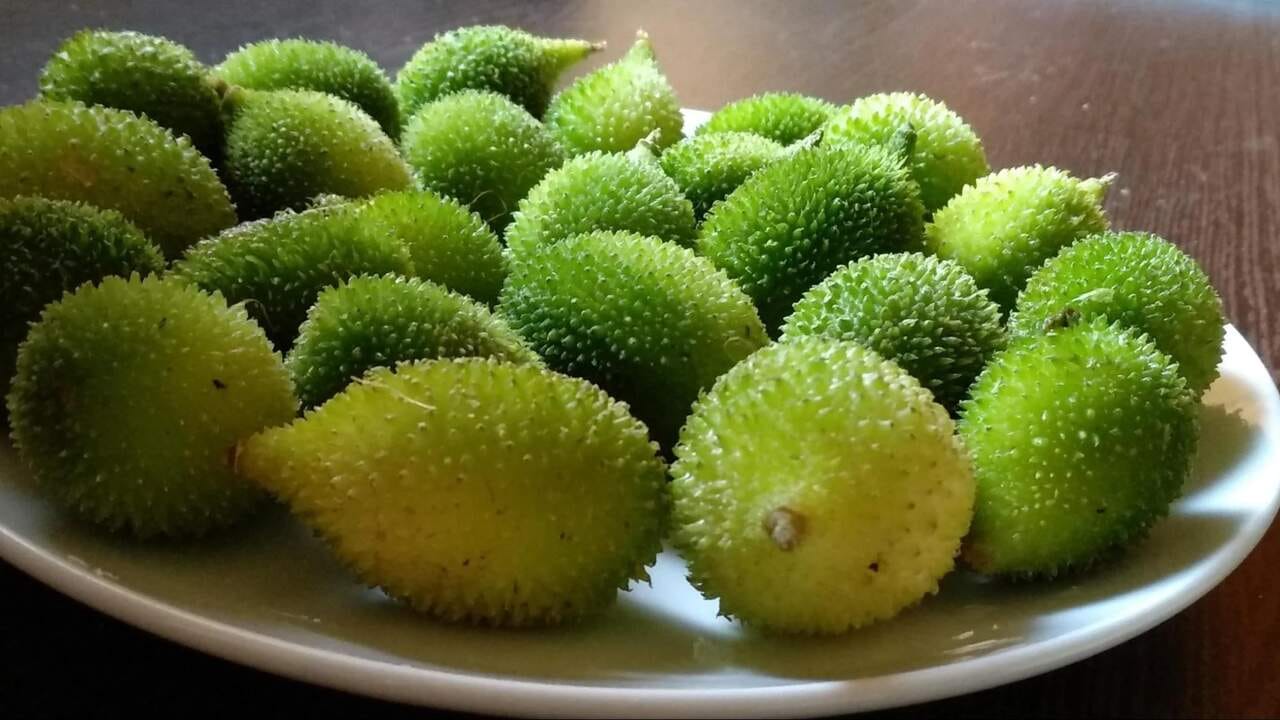 કેટલાક લોકોને કંકોડાની એલર્જી હોઈ શકે છે, જે ત્વચા પર ફોલ્લીઓ, ખંજવાળ અને અન્ય એલર્જીક પ્રતિક્રિયાઓનું કારણ બની શકે છે.