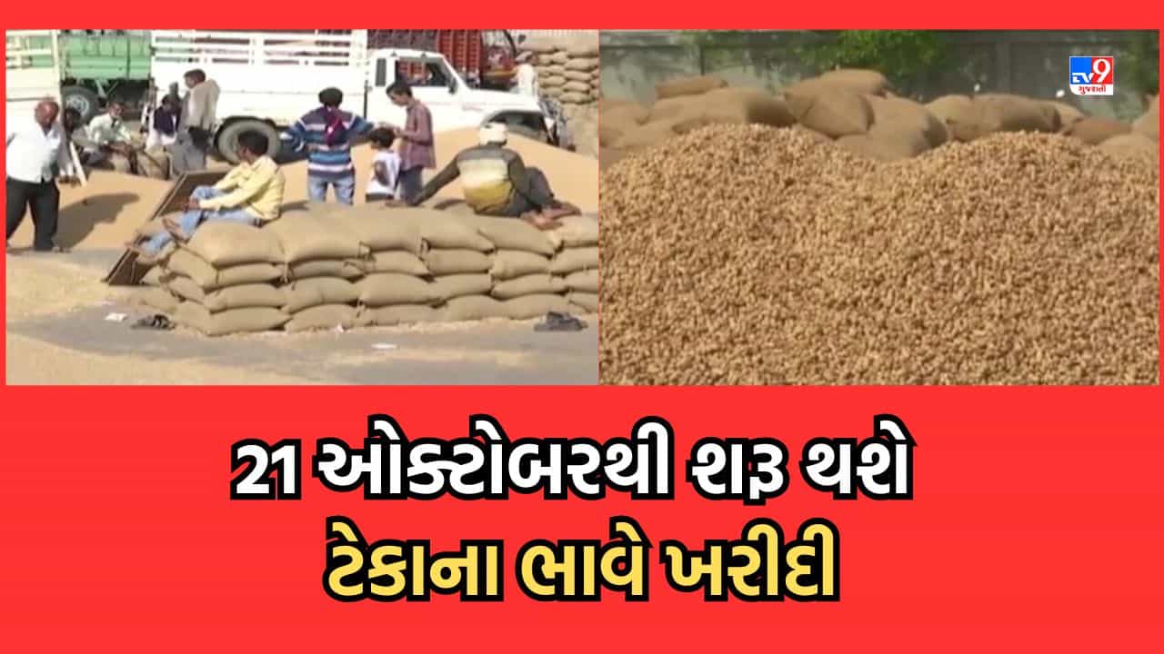 Gujarati Video: 21 ઓક્ટોબરથી ટેકાના ભાવે ખરીદી થશે શરૂ, 15 ઓક્ટોબર સુધી ઈ-ગ્રામ કેન્દ્ર પર નોંધણી, મગ, અડદ અને સોયાબીનની પણ થશે ખરીદી