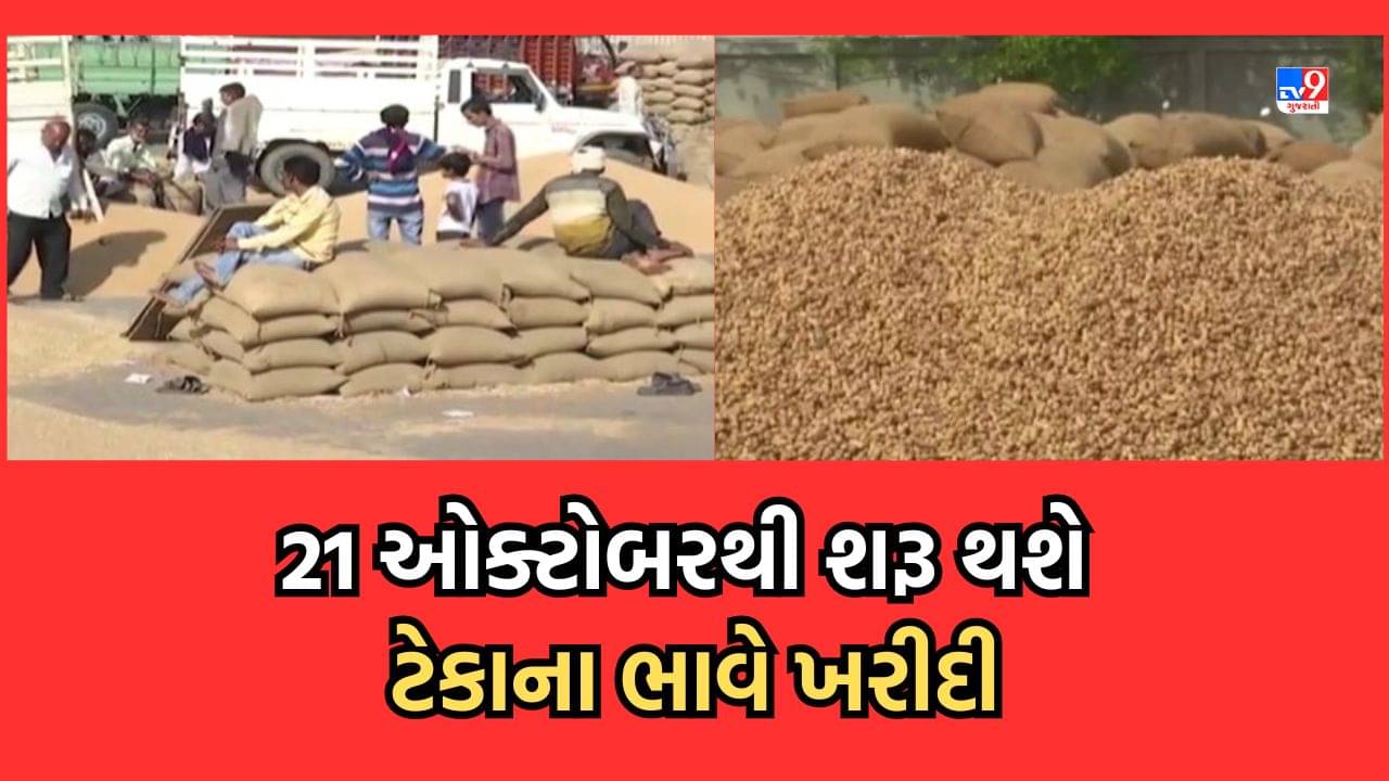 Gujarati Video: 21 ઓક્ટોબરથી ટેકાના ભાવે ખરીદી થશે શરૂ, 15 ઓક્ટોબર સુધી ઈ-ગ્રામ કેન્દ્ર પર નોંધણી, મગ, અડદ અને સોયાબીનની પણ થશે ખરીદી
