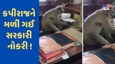 રેલવે ઓફિસમાં બેસીને કમ્પ્યુટર ચલાવી રહ્યો હતો વાંદરો, લોકોએ કહ્યું- બહું મહેનતી છે આ કર્મચારી, VIRAL VIDEO