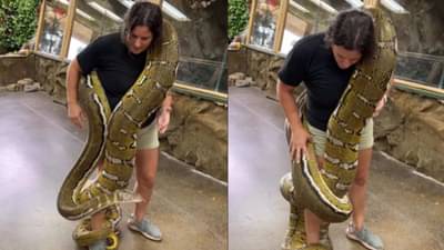 Video - મહિલાના શરીર પર લપેટાયો આટલો મોટો અજગર, આ નજારો જોઈને આસપાસ રહેલા લોકોના પરસેવો છૂટી ગયા