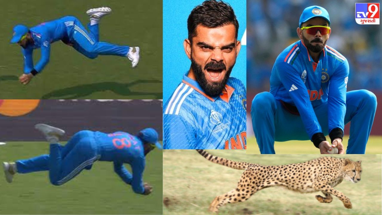 Virat Kohli : ઓસ્ટ્રેલિયા સામે વિરાટ કોહલીની 'ચિતે કી ચાલ, બાજ કી નજર',  જુઓ Video