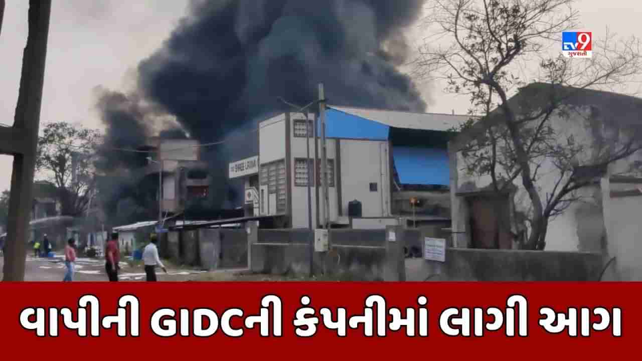 Valsad Breaking News : વાપી GIDCમાં આવેલી અનુપ પેઇન્ટસ કંપનીમાં આગ, ફાયર બ્રિગેડે મેજર કોલ જાહેર કર્યો