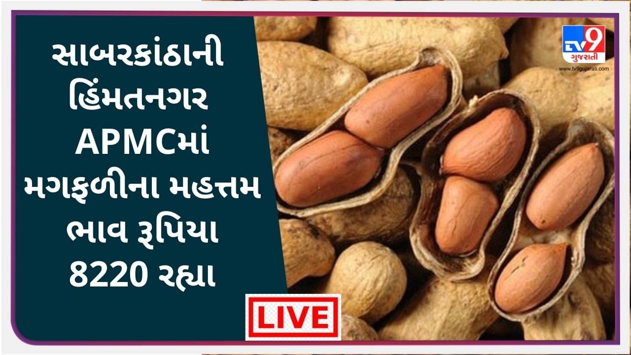 Mandi : સાબરકાંઠાની હિંમતનગર APMCમાં મગફળીના મહત્તમ ભાવ રૂપિયા 8220 રહ્યા, જાણો જુદા-જુદા પાકના ભાવ
