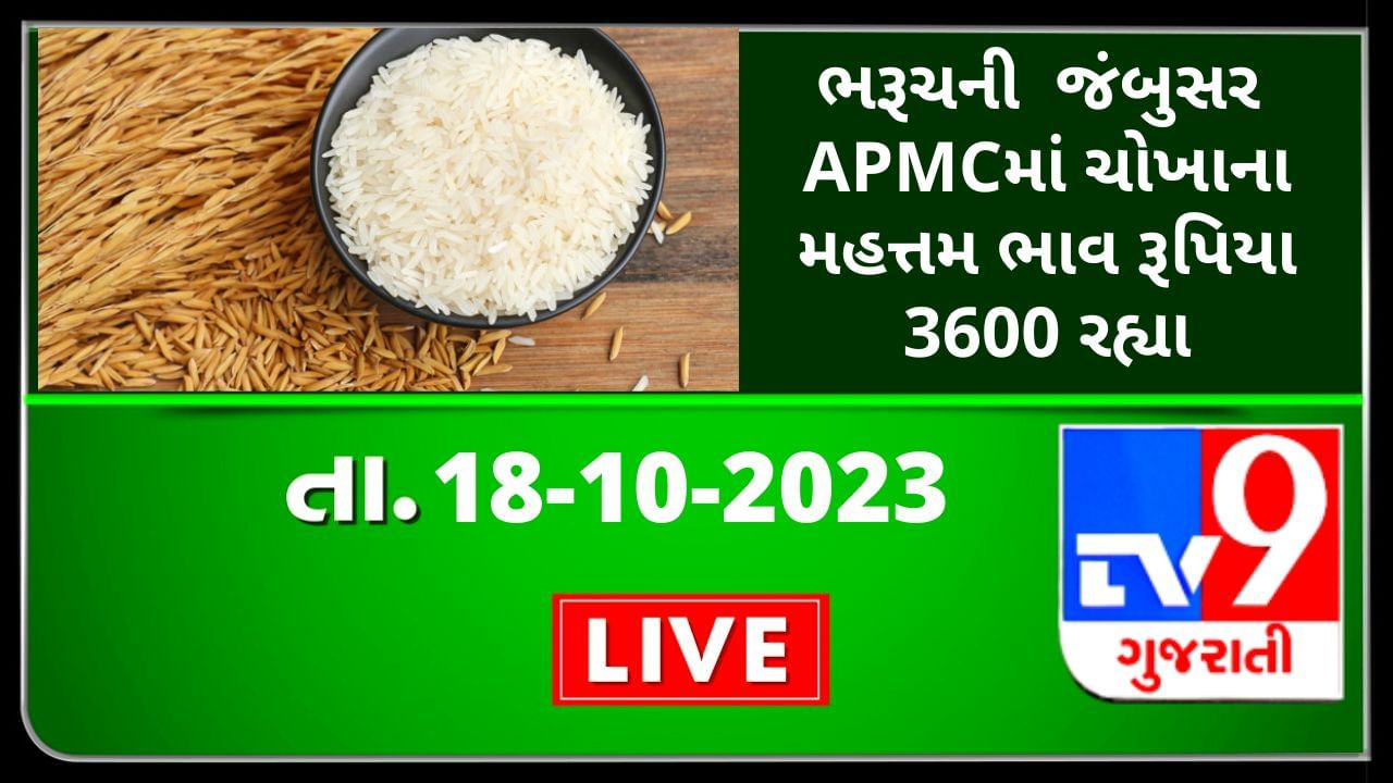 Mandi : ભરૂચની  જંબુસર  APMCમાં ચોખાના મહત્તમ ભાવ રૂપિયા  3600 રહ્યા, જાણો જુદા-જુદા પાકના ભાવ