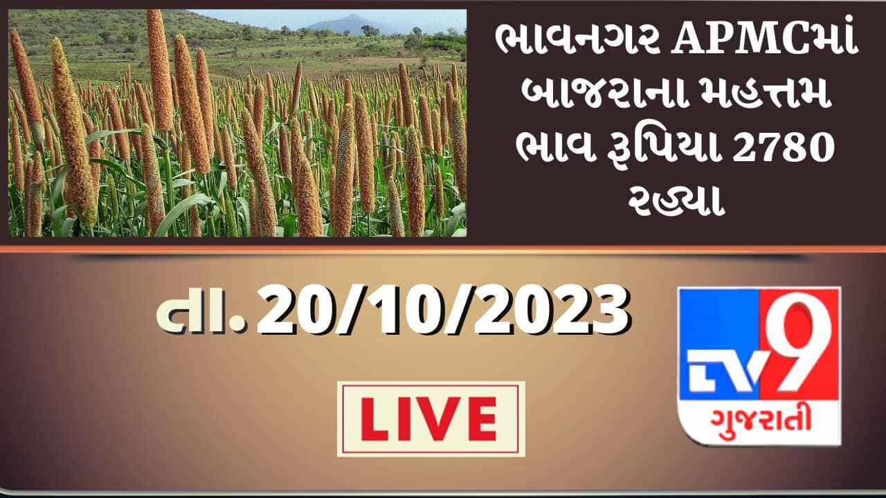 Mandi : ભાવનગર APMCમાં બાજરાના મહત્તમ ભાવ રૂપિયા 2780 રહ્યા, જાણો જુદા-જુદા પાકના ભાવ