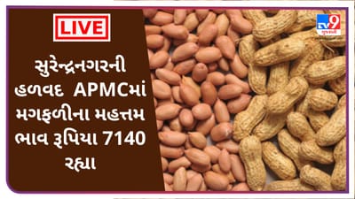 Mandi : સુરેન્દ્રનગરની હળવદ  APMCમાં મગફળીના મહત્તમ ભાવ રૂપિયા 7140 રહ્યા, જાણો જુદા-જુદા પાકના ભાવ