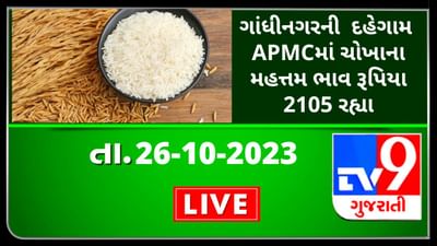 Mandi : ગાંધીનગરની દહેગામ APMCમાં ચોખાના મહત્તમ ભાવ રૂપિયા 2105 રહ્યા, જાણો જુદા-જુદા પાકના ભાવ Mandi : ગાંધીનગરની દહેગામ APMCમાં ચોખાના મહત્તમ ભાવ રૂપિયા 2105 રહ્યા, જાણો જુદા-જુદા પાકના ભાવ