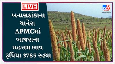 Mandi : બનાસકાંઠાના ધાનેરા APMCમાં બાજરાના મહત્તમ ભાવ રૂપિયા 3785 રહ્યા, જાણો જુદા-જુદા પાકના ભાવ Mandi : બનાસકાંઠાના ધાનેરા APMCમાં બાજરાના મહત્તમ ભાવ રૂપિયા 3785 રહ્યા, જાણો જુદા-જુદા પાકના ભાવ