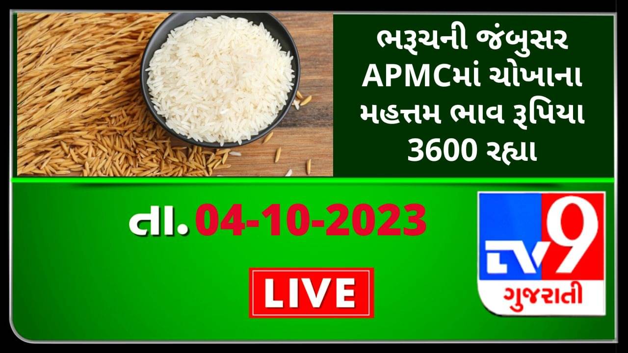 Bharuch Mandi : ભરૂચની જંબુસર APMCમાં ચોખાના મહત્તમ ભાવ રૂપિયા 3600 રહ્યા, જાણો જુદા-જુદા પાકના ભાવ