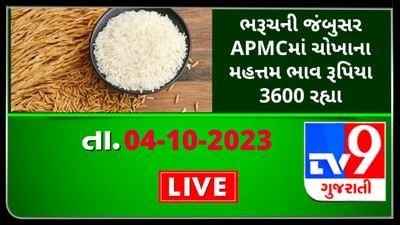 Bharuch Mandi : ભરૂચની જંબુસર APMCમાં ચોખાના મહત્તમ ભાવ રૂપિયા  3600 રહ્યા, જાણો જુદા-જુદા પાકના ભાવ