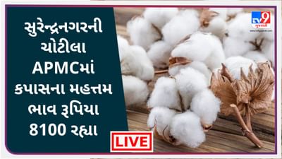 Mandi : સુરેન્દ્રનગરના ચોટીલાની APMCમાં કપાસના મહત્તમ ભાવ રૂપિયા 8100 રહ્યા, જાણો જુદા-જુદા પાકના ભાવ Mandi : સુરેન્દ્રનગરના ચોટીલાની APMCમાં કપાસના મહત્તમ ભાવ રૂપિયા 8100 રહ્યા, જાણો જુદા-જુદા પાકના ભાવ