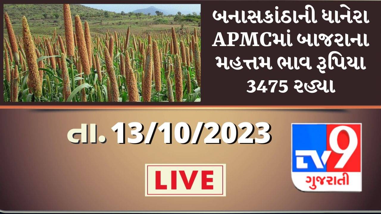 Mandi : બનાસકાંઠાની ધાનેરા APMCમાં બાજરાના મહત્તમ ભાવ રૂપિયા 3475 રહ્યા, જાણો જુદા-જુદા પાકના ભાવ