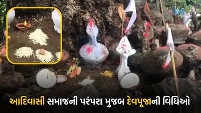 ભારતીય સંસ્કૃતિનો આધાર ગણાતી દક્ષિણ ગુજરાતના આદિવાસીઓની અનોખી રૂઢિ પરંપરા મુજબની દેવપૂજાની વિધિઓ, જાણો સમગ્ર વિગત