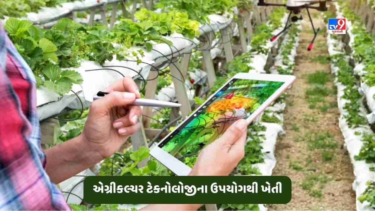 Israel Farming: ઈઝરાયેલના ખેડૂતો કેવી રીતે કરે છે ખેતી? જાણો કેમ અહીંની એગ્રીકલ્ચર ટેકનોલોજીને અપનાવી રહ્યા છે વિશ્વના દેશ