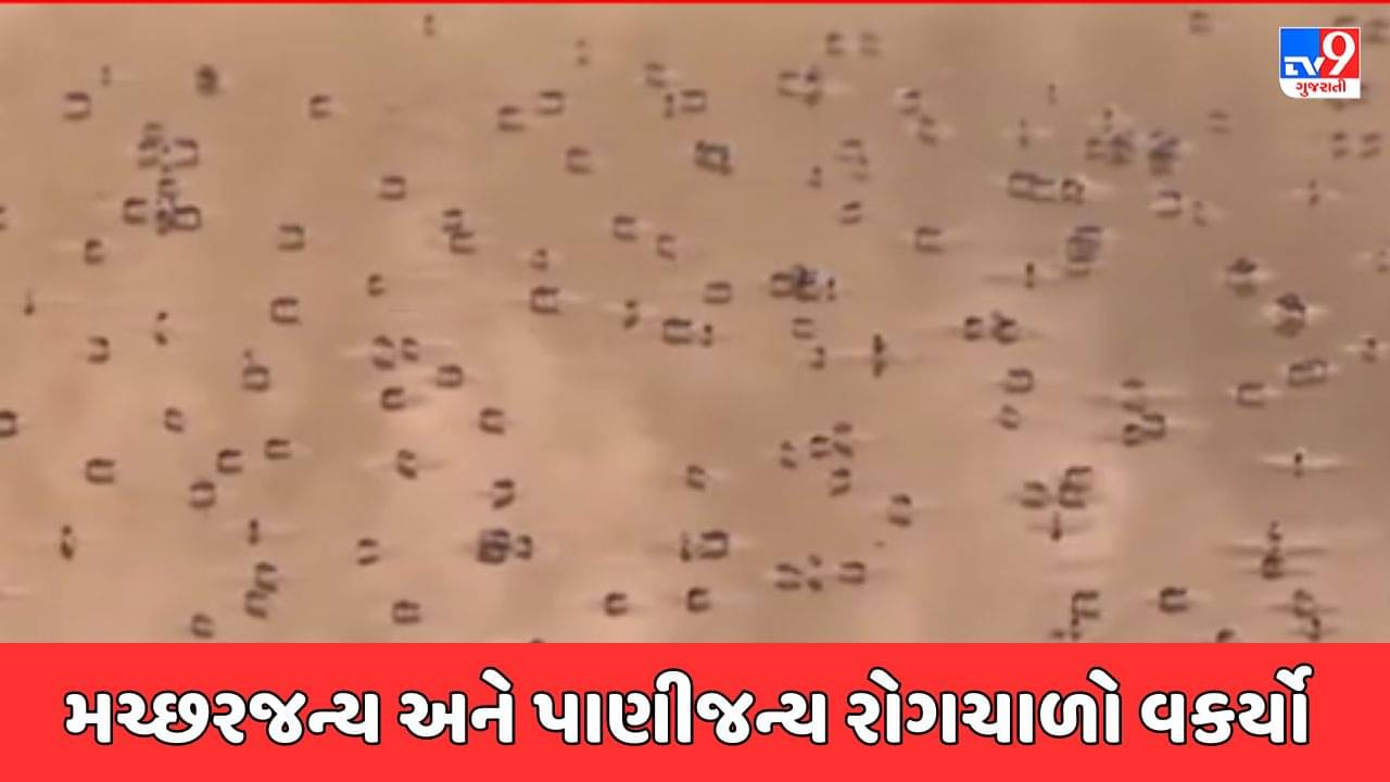 Ahmedabad Video : ચોમાસા બાદ અમદાવાદમાં રોગચાળો વકર્યો, સપ્ટેમ્બર માસમાં 700થી વધારે ડેન્ગ્યુના કેસ નોંધાયા
