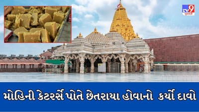 Banaskantha : Ambaji મંદિર પ્રસાદ મામલે મોહિની કેટરર્સે તેમની સાથે ઠગાઇ થયાનો કર્યો દાવો, બિલ સાથે ઘી ખરીદ્યુ હોવાની રજૂઆત,જુઓ Video