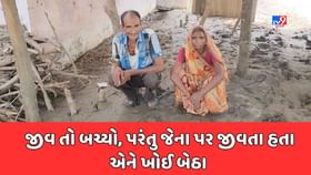 Anand : જીવ તો બચ્યા, પરંતુ જેના પર જીવતા હતા એ પશુઓ ખોઈ બેઠા Anand : જીવ તો બચ્યા, પરંતુ જેના પર જીવતા હતા એ પશુઓ ખોઈ બેઠા