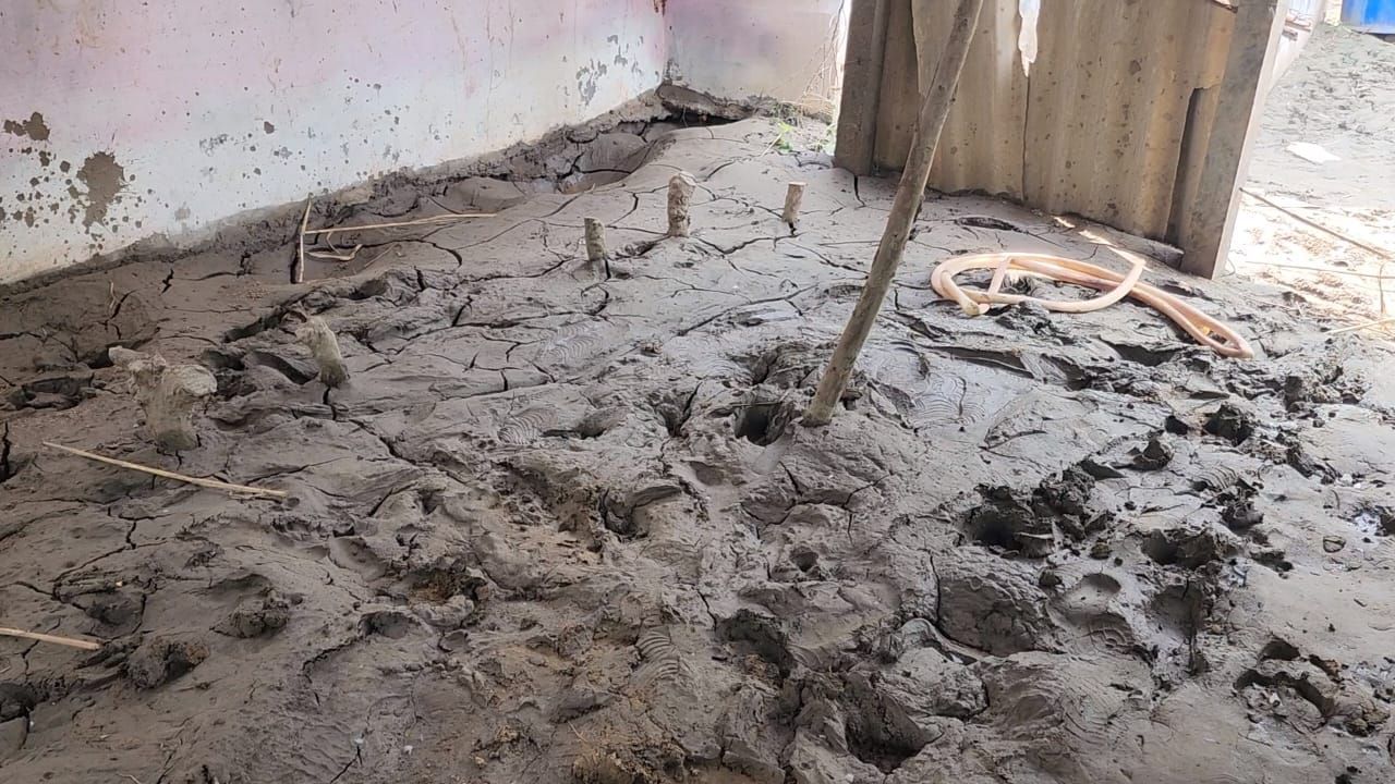 ભારે વરસાદને કારણે કડાણા ડેમમાંથી મહીસાગર નદીમાં પાણી છોડવામાં આવતાં ખેડા, વડોદરા અને આણંદ જિલ્લાના કાંઠા વિસ્તારના ગામોમાં પૂરનાં પાણી ફરી વળ્યા હતા 