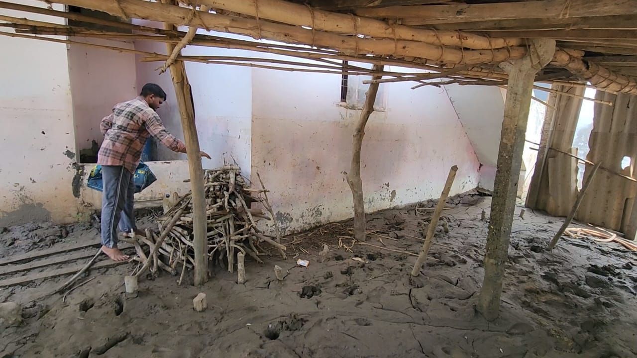 પાણી ઓસરી ગયા બાદ તંત્ર દ્વારા સર્વેની કામગીરી કરવામાં આવી. જેમાં જે પશુઓના મૃતદેહ મળ્યા તેમના પીએમ કરવામાં આવ્યા છે