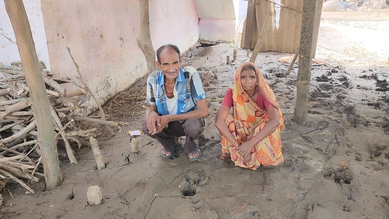 આ પૂરે કાંઠા વિસ્તારના ગંભીરા ,બામણગામ સહિતના ગામોમાં ભારે તારાજી સર્જી હતી. ખાસ કરીને દુધાળા પશુઓનો મોત થતાં પશુપાલકોની હાલત દયનીય બની છે