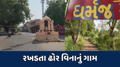 આણંદના ધર્મજ ગામમાં નથી જોવા મળતા રખડતા ઢોર, પશુઓને રખડતા મૂકે તો ભરવો પડે છે દંડ આણંદના ધર્મજ ગામમાં નથી જોવા મળતા રખડતા ઢોર, પશુઓને રખડતા મૂકે તો ભરવો પડે છે દંડ