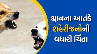 શ્વાનના આતંકથી શહેરીજનોની વધી ચિંતા, આણંદમાં એક જ દિવસમાં બે યુવકોને શ્વાને ભર્યા બચકા