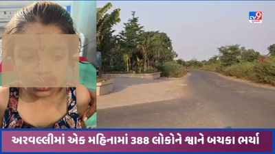 Aravalli: અરવલ્લી જિલ્લામાં એક માસમાં 388 લોકોને શ્વાને બચકાં ભર્યા, 5 વર્ષની બાળકીને અમદાવાદ ખસેડાઈ Aravalli: અરવલ્લી જિલ્લામાં એક માસમાં 388 લોકોને શ્વાને બચકાં ભર્યા, 5 વર્ષની બાળકીને અમદાવાદ ખસેડાઈ