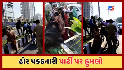 Vadodara: કોર્પોરેશનની ઢોર પકડનારી પાર્ટી પર પશુપાલકોનો હુમલો, ઝપાઝપી કરી ગાય છોડાવી ગયા, જુઓ Video