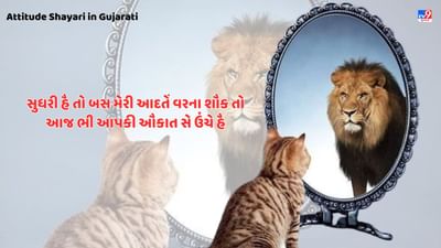 Attitude Shayari : સોશિયલ મીડિયા પર શેર કરો જબરદસ્ત એટિટ્યુડ શાયરી ગુજરાતીમાં વાંચો