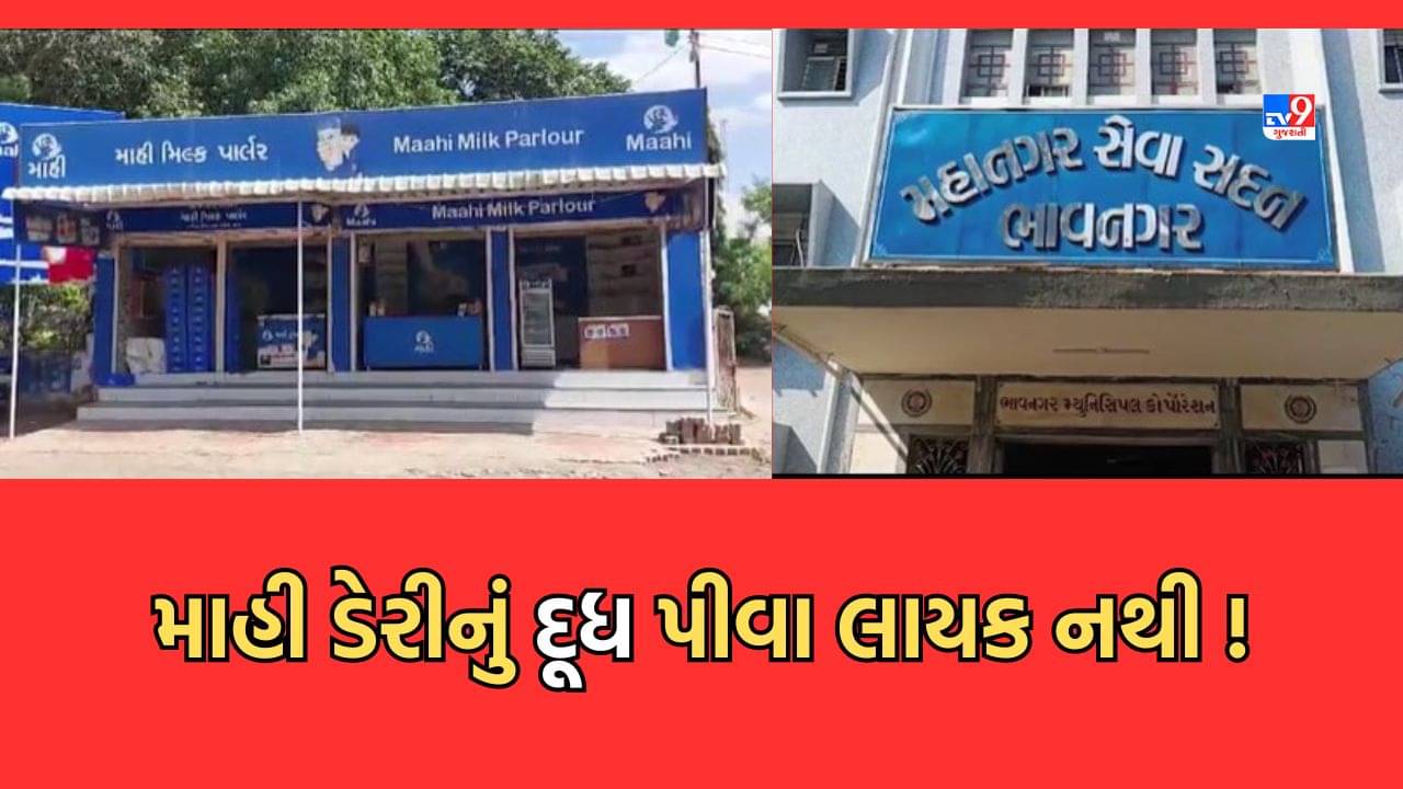 Bhavnagar: માહી ડેરીનું દૂધ પીતા હો તો ચેતી જજો! રિપોર્ટમાં દૂધના નમૂના ફેલ- Video