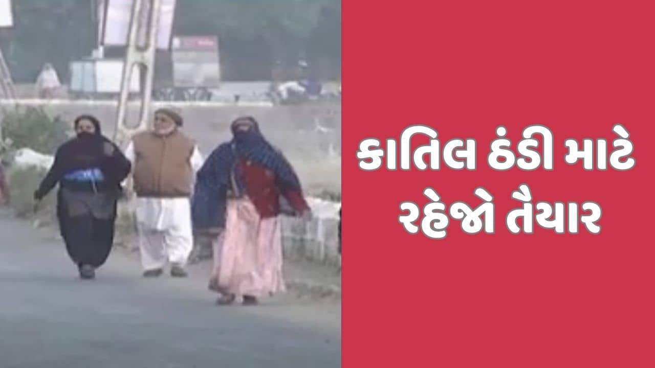 હાડ થીજવતા શિયાળા માટે રહેજો તૈયાર! દિવાળી બાદ કાતિલ ઠંડીના દિવસો શરુ થશે