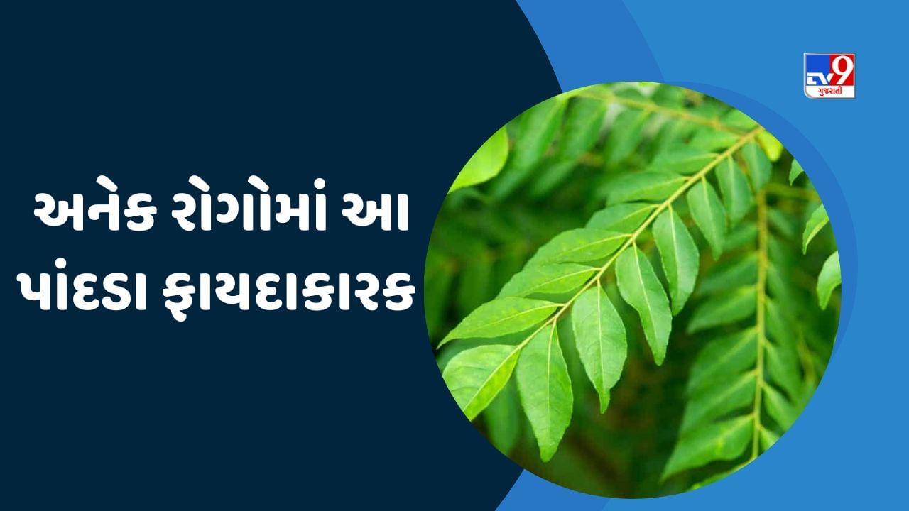 Health: મીઠો લીમડો માત્ર કઢી અને દાળનો સ્વાદ વધારતો નથી, ડાયાબિટીસ સહિત આ બીમારીઓથી પણ બચાવશે