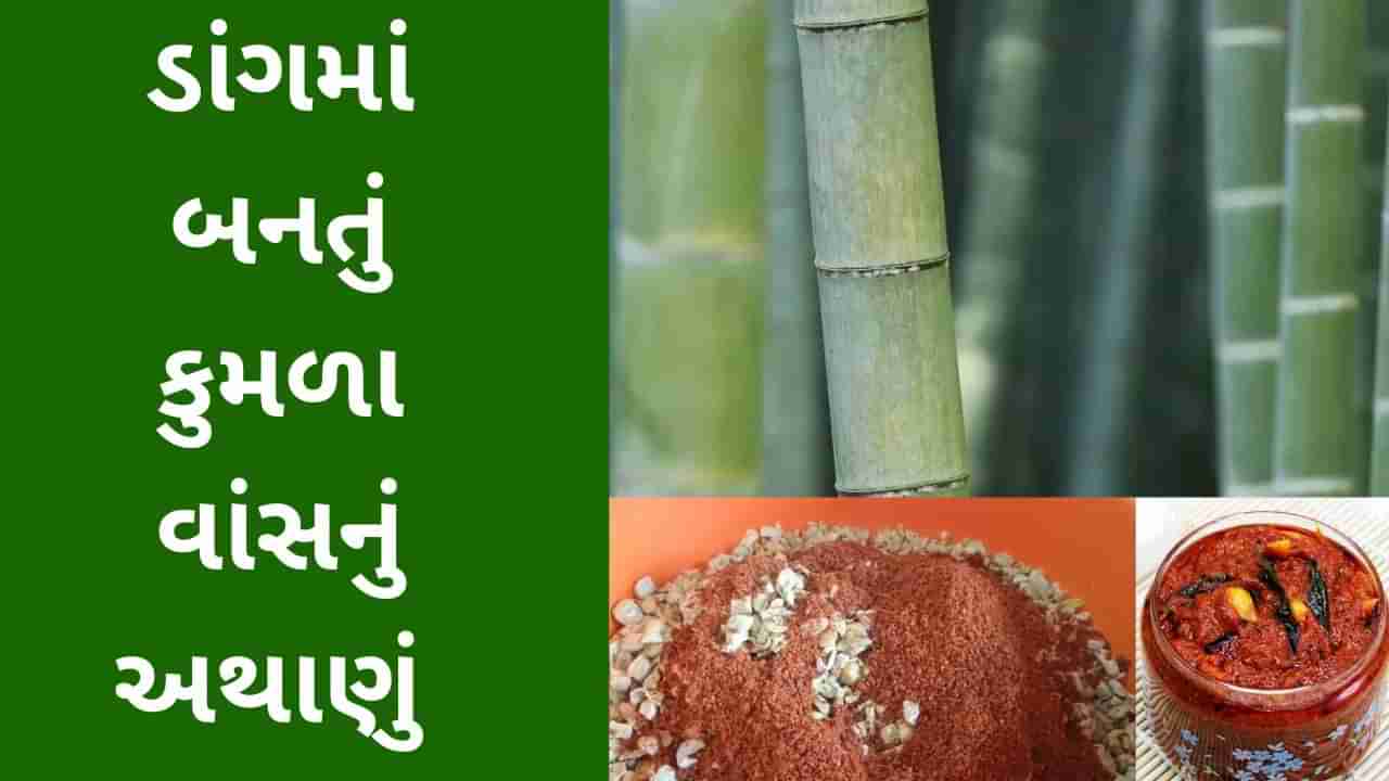 Dang : ડાંગ જિલ્લામાં ઉગતા કુમળા વાંસનું અથાણું ભોજનનો સ્વાદ બમણો કરી દે છે, ડાંગની વિશેષતા અંગે જાણો વિગતવાર