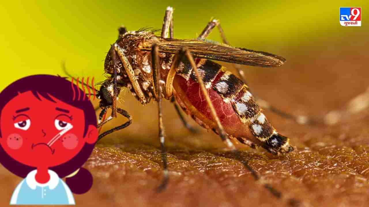 Dengue and Flu Symptoms: ડેન્ગ્યુ અને સીઝનલ ફ્લુમાં શું તફાવત? જાણો શું કહે છે નિષ્ણાંતો