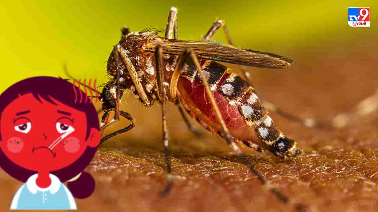 Dengue and Flu Symptoms: What is the difference between dengue and seasonal flu? Find out what the experts say