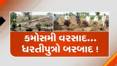 દેવભૂમિ દ્વારકા વીડિયો: કલ્યાણપુરા પંથકના 6 ગામમાં કમોસમી વરસાદે નુકસાન વેર્યું, ખેડૂતોનો તૈયાર પાકને નુકસાન દેવભૂમિ દ્વારકા વીડિયો: કલ્યાણપુરા પંથકના 6 ગામમાં કમોસમી વરસાદે નુકસાન વેર્યું, ખેડૂતોનો તૈયાર પાકને નુકસાન