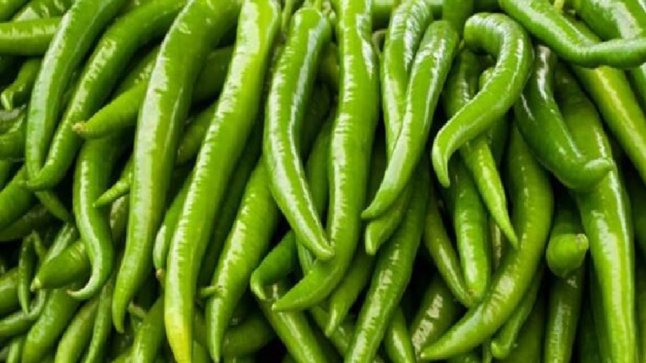 લીલા મરચાં વગર કોઈ પણ ફુડ અધુરું છે. પછી મરચાં તીખાં જ કેમ ન હોય દરેક ઋતુમાં મળતાં લીલા મરચાંનું સેવન ડાયાબિટીસના દર્દીએ લાલ મરચાંની જગ્યાએ કરવું જોઈએ. લીલા મરચાંમાં કેપ્સેસિન નામનું એક ખાસ રસાયણ હોય છે. જેના કારણે ઇન્સ્યુલિનની સંવેદનશીલતા સુધરે છે. (photo :doorkisan.com )